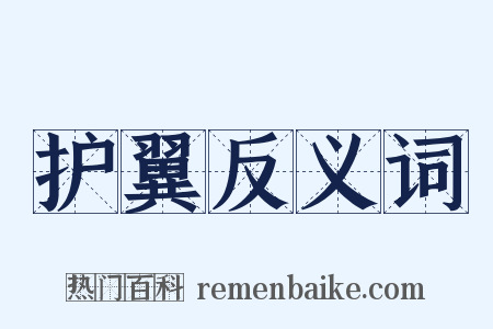护翼反义词是什么意思的图片